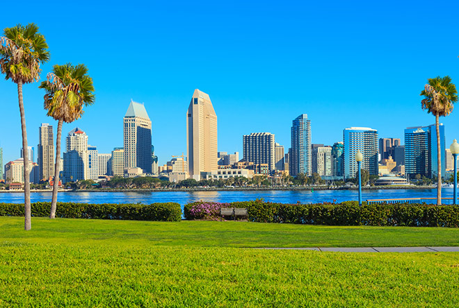 San Diego marina with palm trees and the skyline